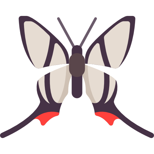 butterfly