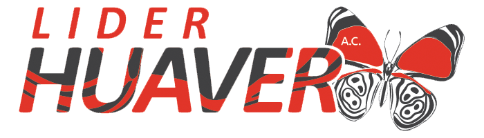 líder huaver logo